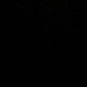 Meet your Posher, Mia